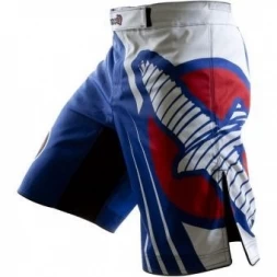 Шорты Hayabusa hayshorts036, фото 1