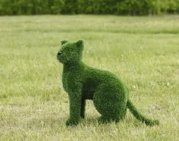 Топиари кошка Клара - газон Eco, фото 1