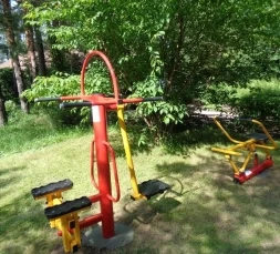 Степ и маятниковый тренажер ТОС-0226 , фото 3