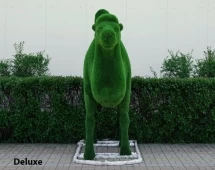 Топиари Верблюд двугорбый - газон Deluxe