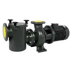 Насос с префильтром Saci Pumps CF-2 300, фото 1