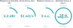 Насос с префильтром Saci Pumps CF-2 300, фото 2