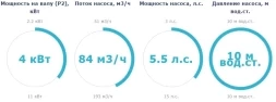 Насос с префильтром Saci Pumps CF-2 550, фото 2