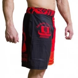 Шорты Hardcore Training hctshorts01, фото 3
