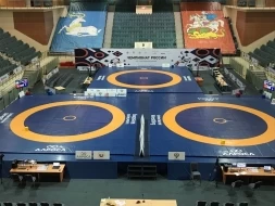 Покрытие для ковра борцовского 10х10 м ОДНОЦВЕТНОЕ СТП-113, фото 3