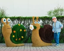 Топиари композиция улитки Скитлс и Марика - газон Eco