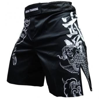 Шорты Hardcore Training hctshorts032, фото 1