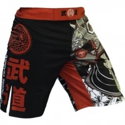 Шорты Hardcore Training hctshorts026, фото 2