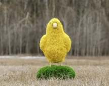 Топиари цыпленок Цыпа - газон Eco
