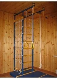 Детский спортивный комплекс Городок Babysport 3-х опорный с сеткой, фото 2