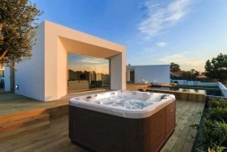 Спа бассейн Dimension One Spas Reflections Executive™, фото 2