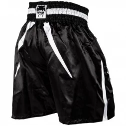 Шорты Venum venshorts0274, фото 2