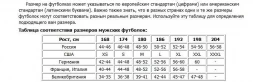 Лонгслив American Fighter amfhood02, фото 5