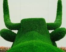 Топиари корова Хэльга - газон Eco