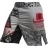 Шорты Hardcore Training hctshorts015