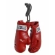Брелок Mini Boxing Glove In Pairs