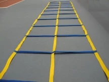 Скоростная лестница &quot;DOUBLE LADDER 10&quot;
