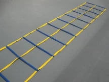 Скоростная лестница &quot;DOUBLE LADDER 10&quot;