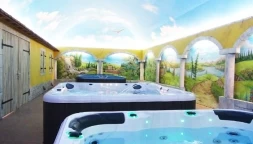 Спа бассейн Passion Spas Pure Spa Repose, фото 6