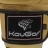 Перчатки боксерские KouGar KO600-8, 8oz, золото