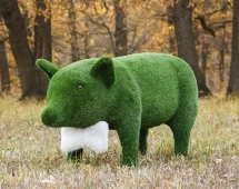 Топиари Поросенок в панаме / бант - газон Eco