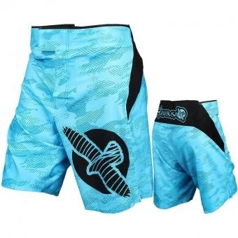 Шорты Hayabusa hayshorts025, фото 1