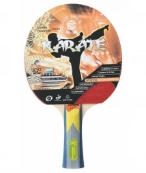 Ракетка для настольного тенниса GIANT DRAGON Karate