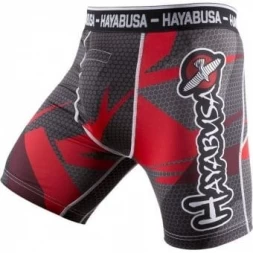 Шорты Hayabusa hayshorts058, фото 1