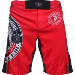 Шорты Hardcore Training hctshorts054, фото 3