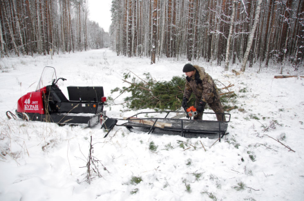 Снегоход РУССКАЯ МЕХАНИКА Буран 4А, фото 2