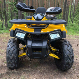 Квадроцикл MOTOLAND 200 Wild Track X, фото 3