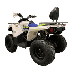 Квадроцикл MOTOLAND Shark 200, фото 6