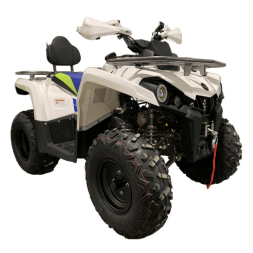 Квадроцикл MOTOLAND Shark 200, фото 2