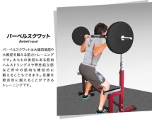 Стойка под штангу DFC DZ001B Стойка под штангу DFC DZ001B