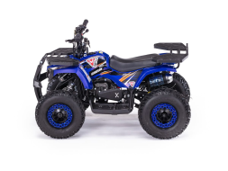 Квадроцикл MOTAX Grizlik X16 (ES, BW), фото 3