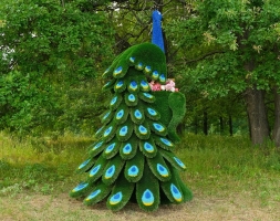 Топиари павлин Корица - газон Deluxe+Eco, фото 1