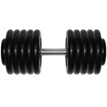 Гантель Barbell 56 кг профи