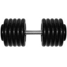 Гантель Barbell 58,5 кг профи