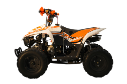 Квадроцикл RACER RC 110 Coyote, фото 7