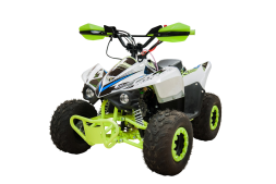 Квадроцикл RACER RC 110 Coyote, фото 1