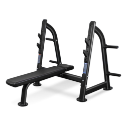 BRONZE GYM BR-1012 Скамья для жима горизонтальная BRONZE GYM BR-1012 Скамья для жима горизонтальная