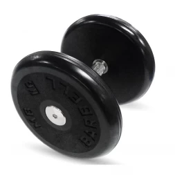 Гантель Barbell 16 кг классик с вращающейся ручкой хром