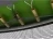 Батут UNIX line 8 ft Classic (inside) 244 см с защитной сеткой