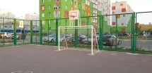 Ворота с баскетбольным щитом Романа 203.10.00