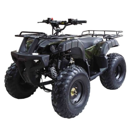 Квадроцикл WELS ATV Thunder 150, фото 1