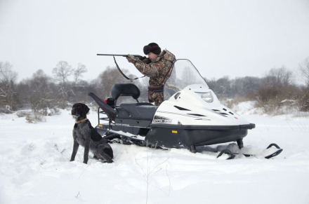 Снегоход Тайга Варяг 550 V SE, фото 6