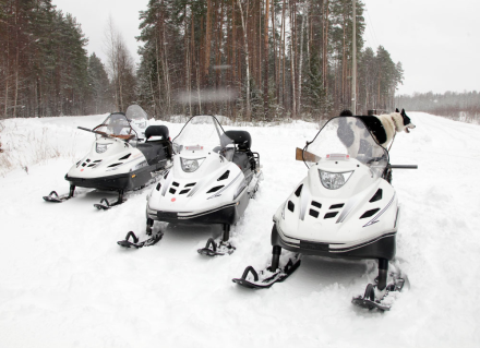 Снегоход Тайга Варяг 550 V SE, фото 2