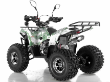 Квадроцикл WELS Thunder 125 Lux Квадроцикл WELS Thunder 125 Lux