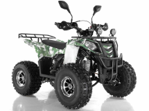Квадроцикл WELS Thunder 125 Lux Квадроцикл WELS Thunder 125 Lux