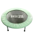 Батут TR-101 101 см, мятный